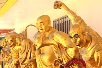 Small-Group Walking Tour of 10,000 Buddhas & Tai Po - Discover Hong Kong Spirit