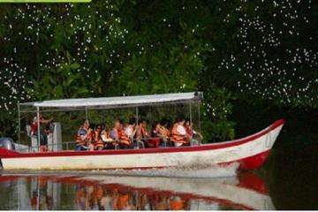 Fireflies Silver Leaf Monkey Seafood Dinner and Boat Ride Experience
