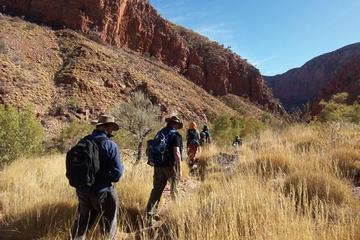 5-Day Larapinta Trail Walking Tour from Alice Springs