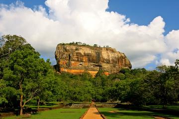 Sigiriya and Dambulla Private Day Trip from Colombo