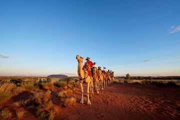Uluru Camel Express, Sunrise or Sunset Tours