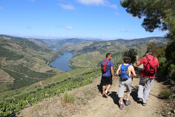Valença do Douro Walking Tour