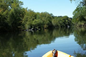 Guided Kayak Tour on Jenner Coast