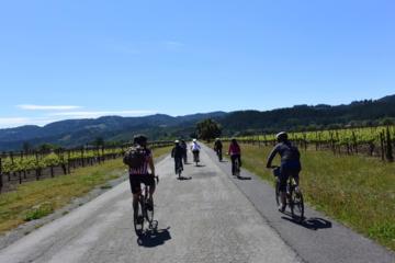 Santa Rosa Wine Country Bike Tour