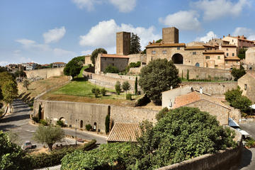 Civitavecchia Shore Excursion: Private Day Trip to Tarquinia and Tuscania