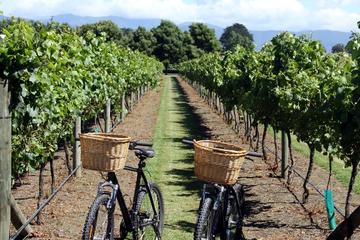 Half-Day E-Bike Vineyard Tour with Wine Tasting from Nice