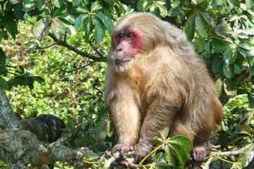 CATEMACO AND LOS TUXTLAS TOUR