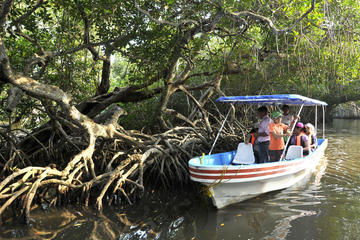 MANDINGA AND BOAT TRIP TOUR