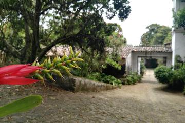 SENDEROS DEL CAFÉ TOUR