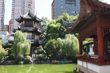 Old Shanghai Discovery Walking Tour with Tea Tasting at Confucius Temple