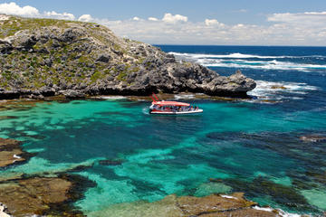 Rottnest Island Tour from Perth or Fremantle including Adventure Speed Boat Ride
