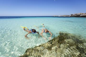 Rottnest Island Tour From Perth or Fremantle including Snorkeling Tour