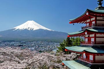 Get Out to Mt Fuji