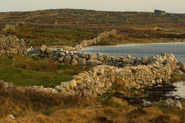 Connemara Day Trip from Dublin including 1.5hr Boat Cruise