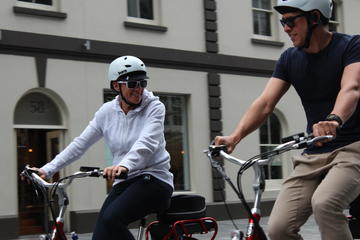 2.5-Hour Auckland Neighborhoods Electric Bike Small-Group Tour