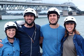 Half-Day Small-Group Electric Bike Tour of Auckland