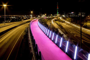The City Lights: a Unique Guided Tour of Auckland by Night