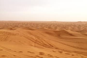 Dubai Morning Desert Small-Group Tour with Dune Bash