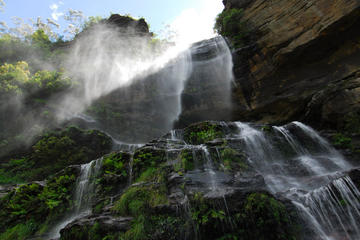 Blue Mountain Small-Group Day Hikes from Sydney