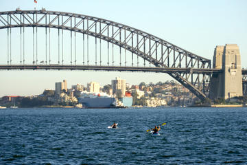 Sydney Harbour Kayak Tours