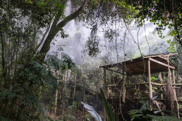 Birds of Eden Admission Ticket