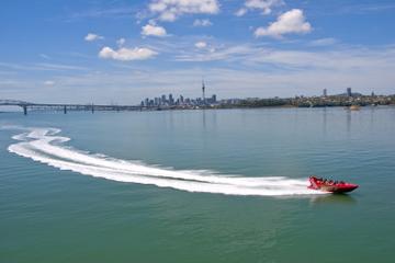 Auckland Shore Excursion: Jet Boat Ride on Waitemata Harbour