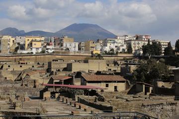 Herculaneum & Vesuvius Walking tour from Naples