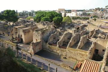 Herculaneum Walking Tour from Naples
