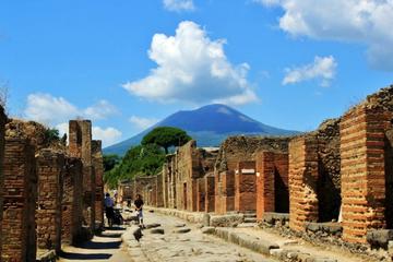 Pompeii & Vesuvius Walking tour from Naples