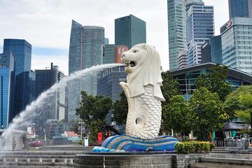 Half Day or Full Day Private Custom Tour of Singapore