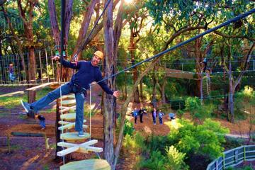 Enchanted Adventure Garden Canopy Tour and Mornington Peninsula from Melbourne