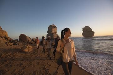 Full-Day Great Ocean Road and 12 Apostles Sunset Tour from Melbourne