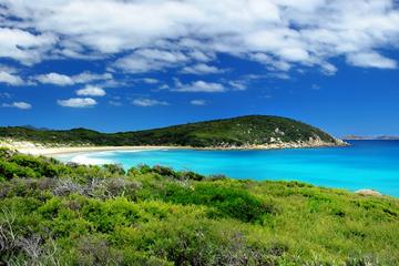 Melbourne Super Saver: Great Ocean Road plus Wilsons Promontory and Melbourne Attraction Pass