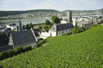 Private Tour: Customizable Rhine Valley Day Trip from Frankfurt
