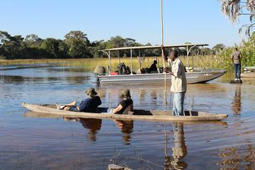 One Day Mokoro Safari