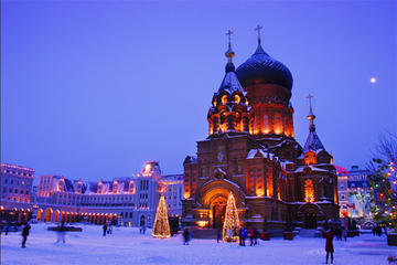 Private Day Tour: Harbin City and Ice and Snow World