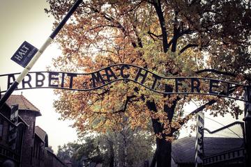 Shuttle bus from Krakow to Auschwitz-Birkenau