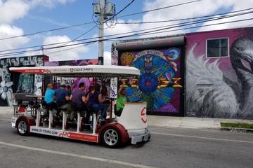 Wynwood Sightseeing Tour