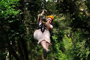 Roatan Shore Excursion: Zip 'n' Dip Canopy Tour