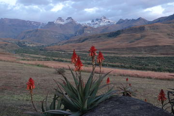 Drakensberg Mountain day Tour into Lesotho