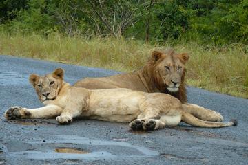 Durban Safari Tour - 3 day package
