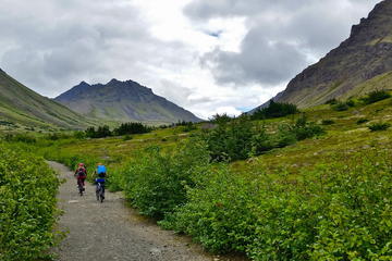 Fat Tire Biking in Chugach State Park Tour