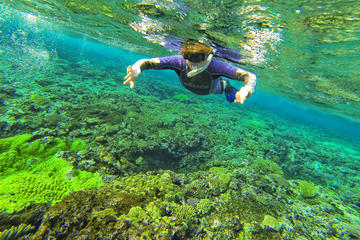 Snorkeling in Crystal Clear Water