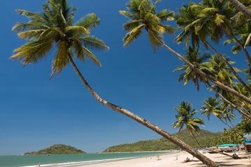 Private Tour: 5-Day Goa and Mumbai from Delhi