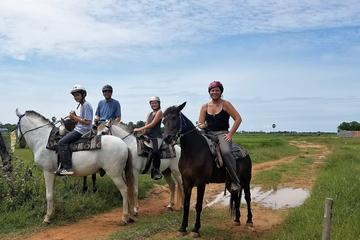 Horse Ride countryside trail rides with tuk tuk transfer