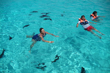 Caribbean Funday