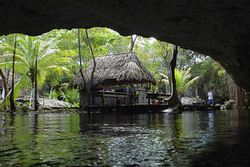 Mayan Jungle