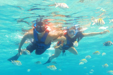 Reef Snorkel Plus