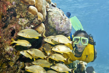 Snorkel Xtreme