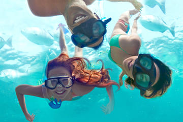 Xel-Ha Tour